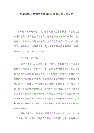 抓党建促乡村振兴专题培训心得体会集合篇范文.docx