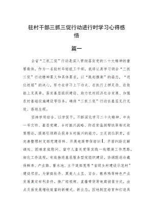 驻村干部三抓三促行动进行时学习心得感悟五篇.docx