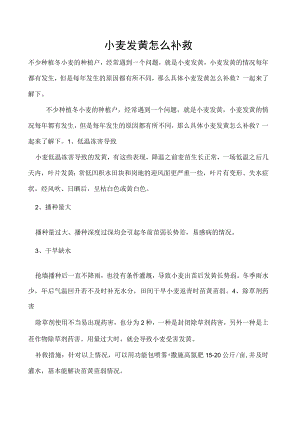 小麦发黄怎么补救.docx