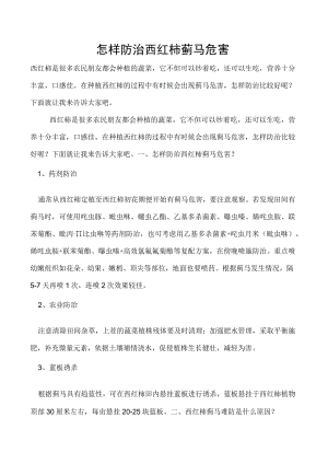 怎样防治西红柿蓟马危害.docx