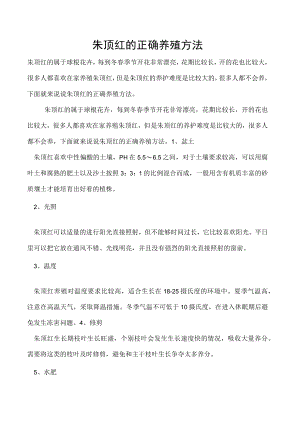 朱顶红的正确养殖方法.docx