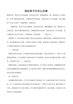 铜钱草干叶怎么回事.docx
