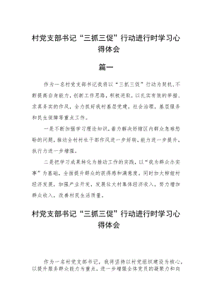 村党支部书记“三抓三促”行动进行时学习心得体会3篇.docx