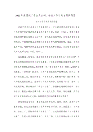 2023年度组织工作会发言稿、普法工作计划2篇供借鉴.docx