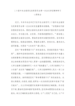 二十届中央全面深化改革委员会第一次会议讲话精神学习心得体会3篇.docx