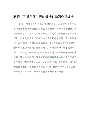 教师“三抓三促”行动进行时学习心得体会.docx