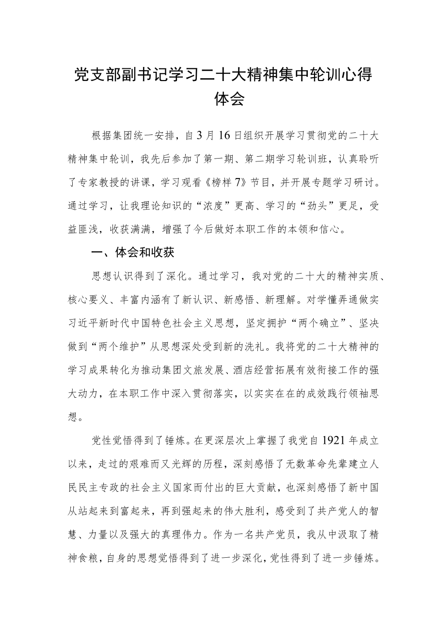 党支部副书记学习二十大精神集中轮训心得体会.docx_第1页