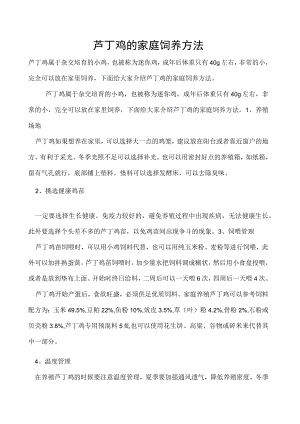 芦丁鸡的家庭饲养方法.docx