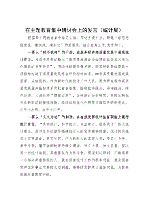 在主题教育集中研讨会上的发言（统计局）.docx