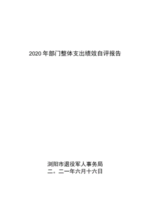 2020年部门整体支出绩效自评报告.docx