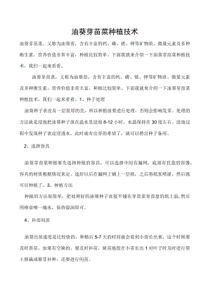 油葵芽苗菜种植技术.docx
