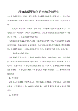 种植水稻要如何防治水稻负泥虫.docx