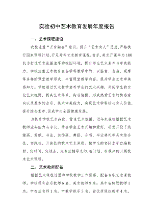 实验初中艺术教育发展年度报告.docx