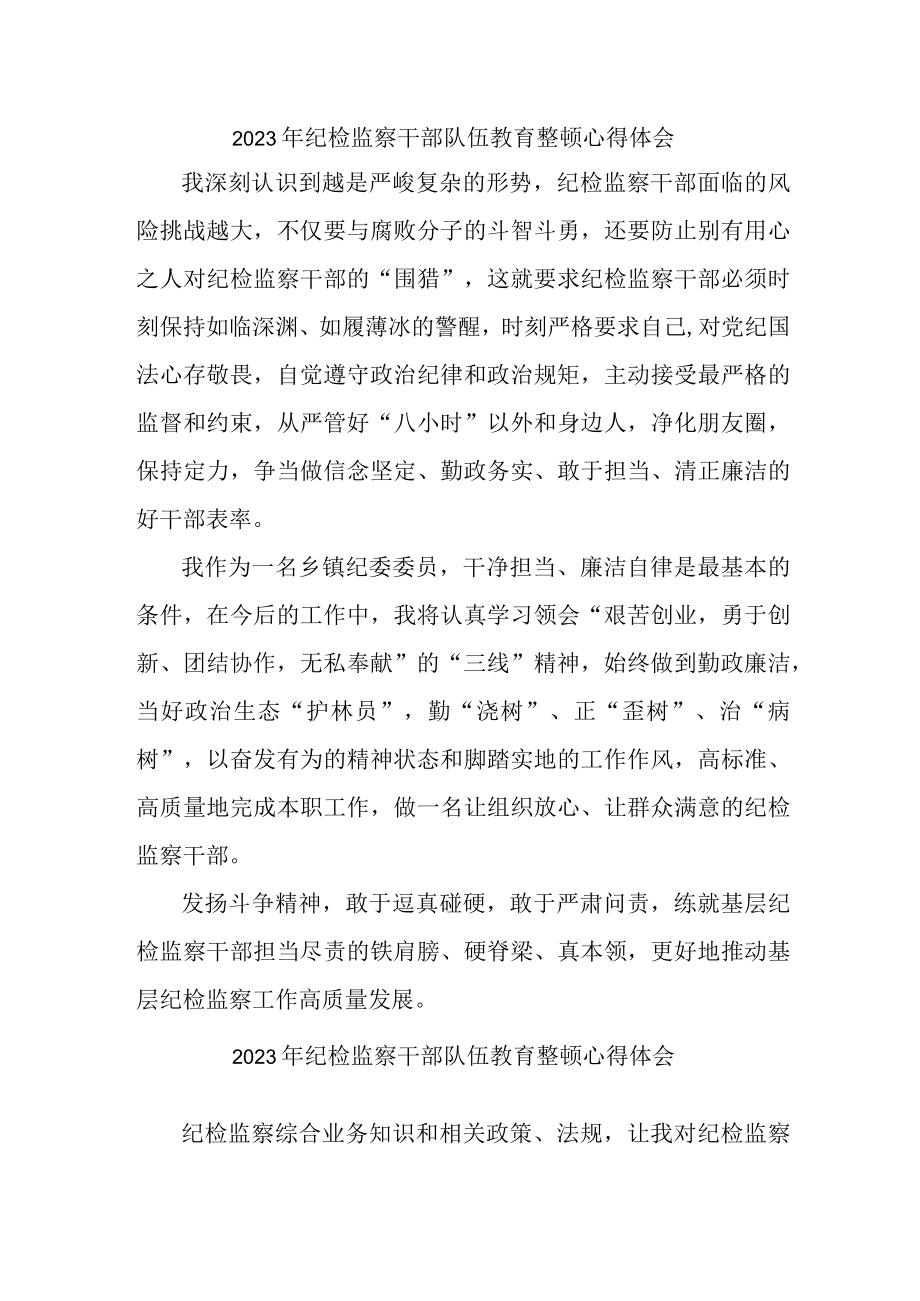 公安派出所2023年纪检监察干部队伍教育整顿个人心得体会 (合计6份).docx_第1页