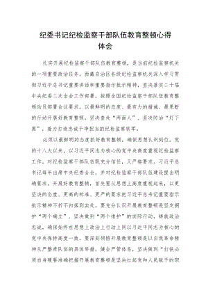 纪委书记纪检监察干部队伍教育整顿心得体会.docx