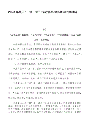 2023年开展“三抓三促”行动情况总结典型经验材料共四篇.docx