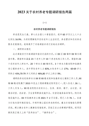 2023关于农村养老专题调研报告两篇.docx