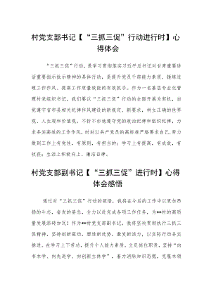 (3篇)村党支部书记【“三抓三促”行动进行时】心得体会范文.docx