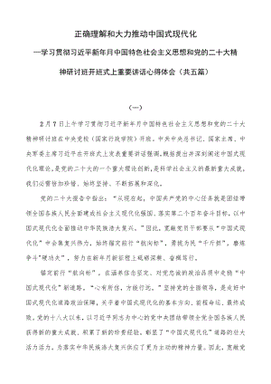 学习贯彻党的二十大精神研讨班开班式上重要讲话精神学习心得体会研讨发言共五篇.docx