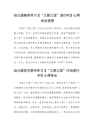 （共三篇）幼儿园教师学习【“三抓三促”进行时】心得体会感想.docx