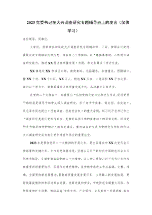 2023党委书记在大兴调查研究专题辅导班上的发言.docx
