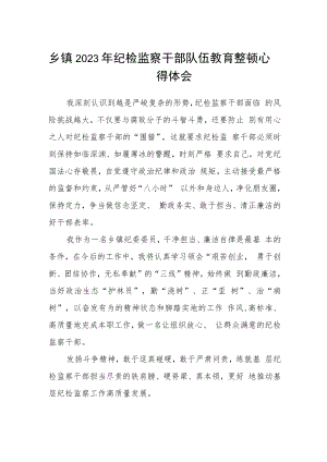 乡镇2023年纪检监察干部队伍教育整顿心得体会(精选三篇).docx