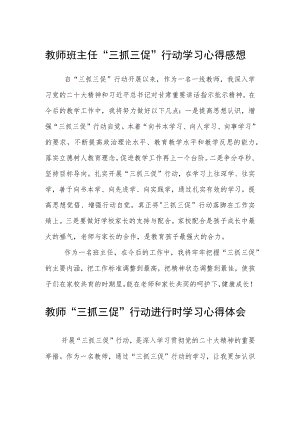 （共三篇）教师班主任“三抓三促”行动学习心得感想.docx