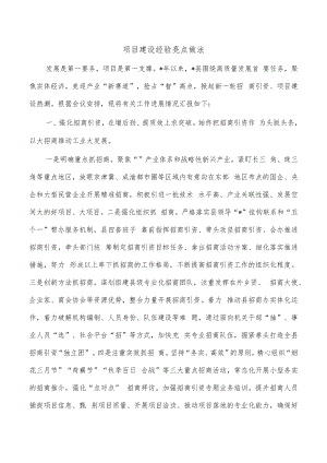 项目建设经验亮点做法.docx