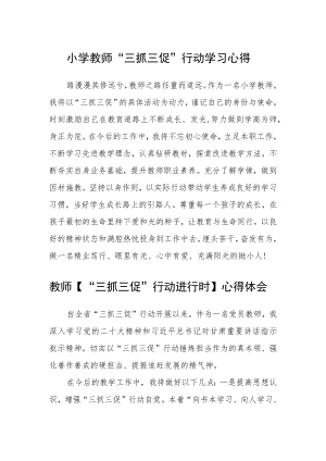 （共三篇）小学教师“三抓三促”行动学习心得.docx