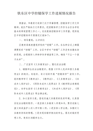 铁东区中学控辍保学工作进展情况报告.docx