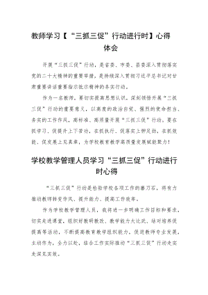（共三篇）教师学习【“三抓三促”行动进行时】心得体会.docx