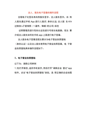 法人、股东电子签章的操作流程.docx