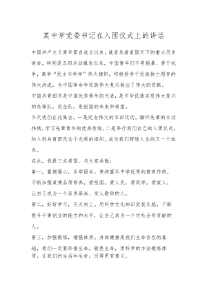 某中学党委书记在入团仪式上的讲话.docx