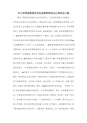 中小学思政教研员专业发展研修培训心得体会三篇.docx