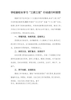 （共三篇）学校副校长学习“三抓三促”行动进行时感想.docx