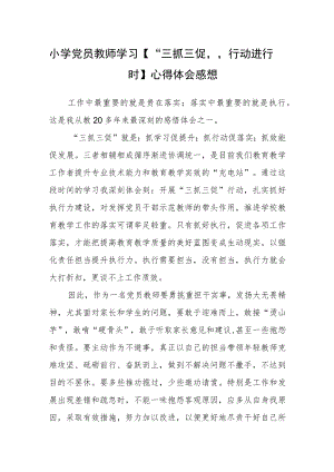 （共三篇）小学党员教师学习【“三抓三促”行动进行时】心得体会感想.docx