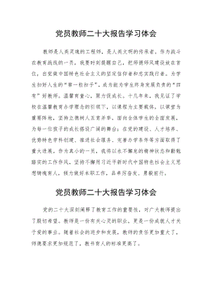（共三篇）党员教师二十大报告学习体会范文.docx