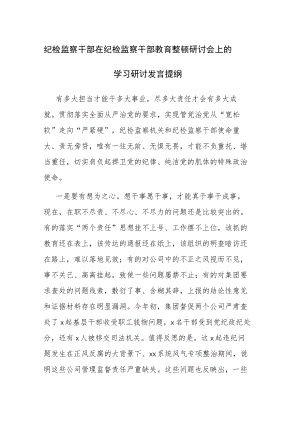 纪检监察干部在纪检监察干部教育整顿研讨会上的学习心得体会及研讨发言提纲范文2篇.docx