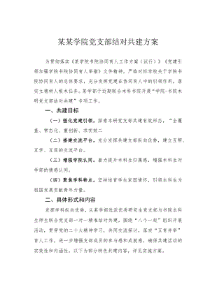 某某学院党支部结对共建方案.docx