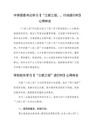 （共三篇）中学团委书记学习【“三抓三促”行动进行时】心得体会.docx