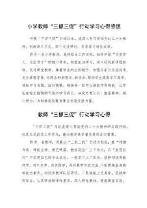 （共三篇）小学教师“三抓三促”行动学习心得感想.docx