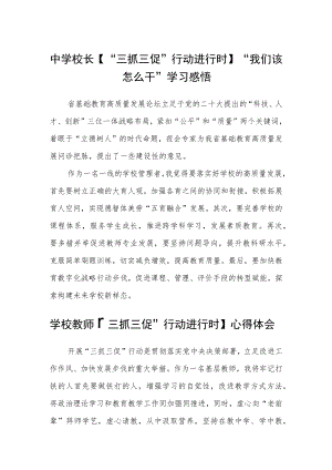（共三篇）中学校长【“三抓三促”行动进行时】“我们该怎么干”学习感悟.docx