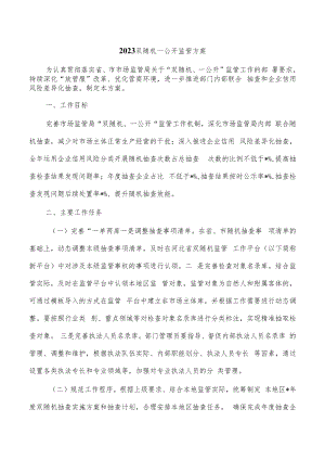 2023双随机一公开监管方案.docx