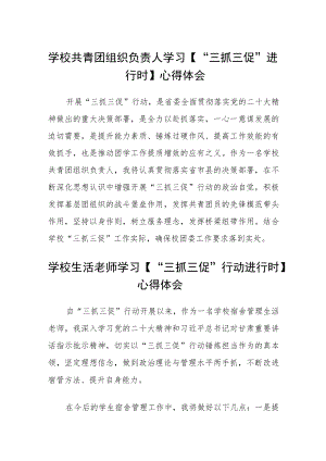 （共三篇）学校共青团组织负责人学习【“三抓三促”进行时】心得体会.docx