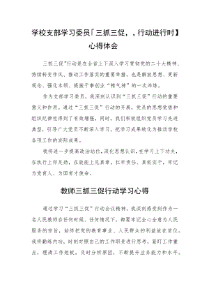 （共三篇）学校支部学习委员【“三抓三促”行动进行时】心得体会.docx