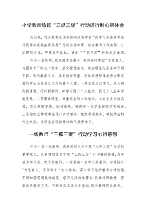 （共三篇）小学教师热议“三抓三促”行动进行时心得体会.docx
