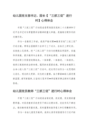 （共三篇）幼儿园党支部书记、园长【“三抓三促”进行时】心得体会.docx