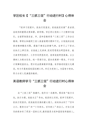 （共三篇）学区校长【“三抓三促”行动进行时】心得体会.docx
