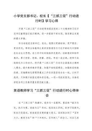 （共三篇）小学党支部书记、校长【“三抓三促”行动进行时】学习心得.docx