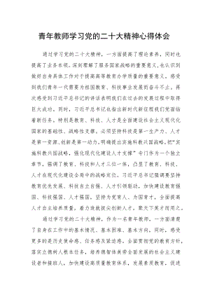 （共三篇）青年教师学习党的二十大精神心得体会范文.docx